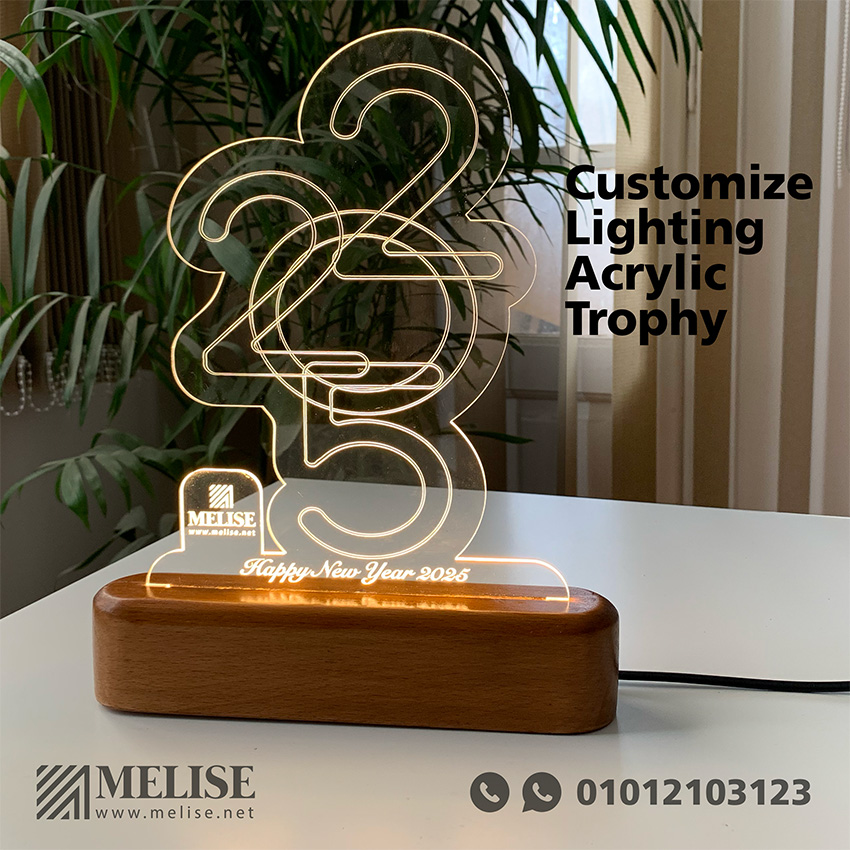 Customize Lighting Trophy | Custom Design | Melise Egypt