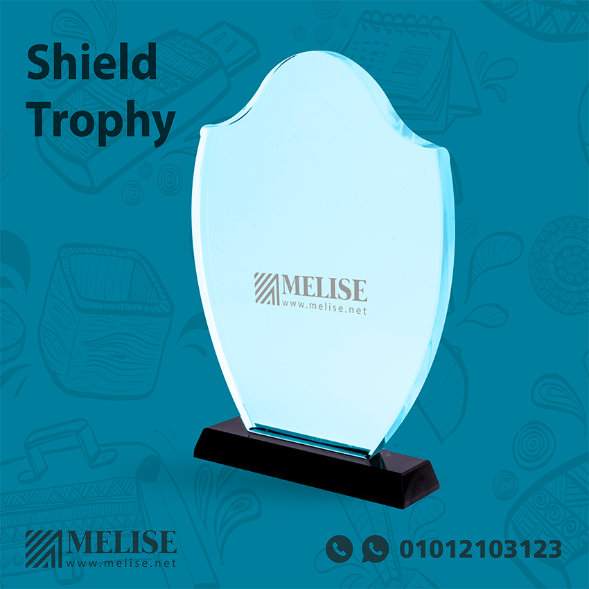 Shield Trophy | Engraved Design | Melise Egypt