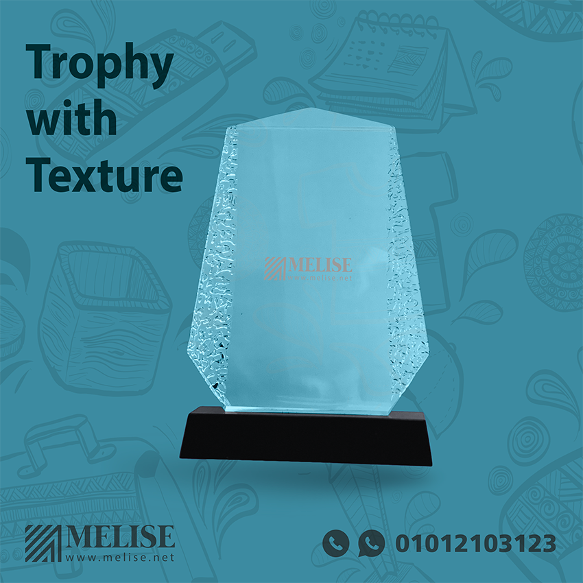 Trophy with Texture | Engraved Design | Melise Egypt