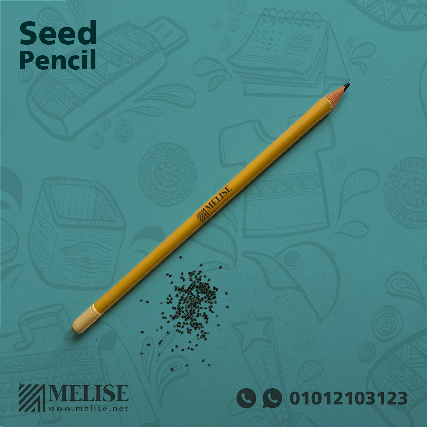 Eco Friendly Seed Pencils | Grow Basil & Clove Flowers | Melise Egypt