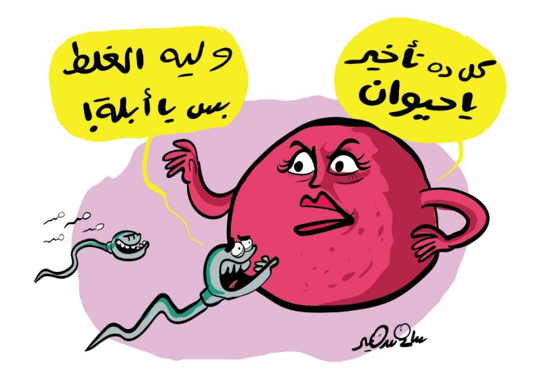 Cartoon showing an egg character angrily scolding a late sperm character using Egyptian slang calling him 'animal'.